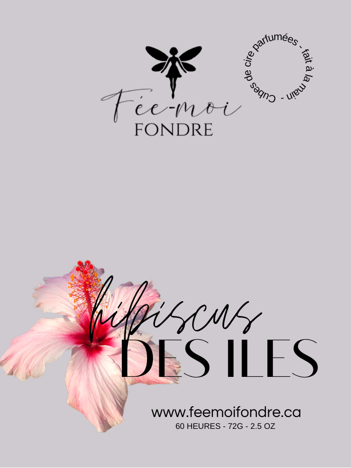 Hibiscus des îles